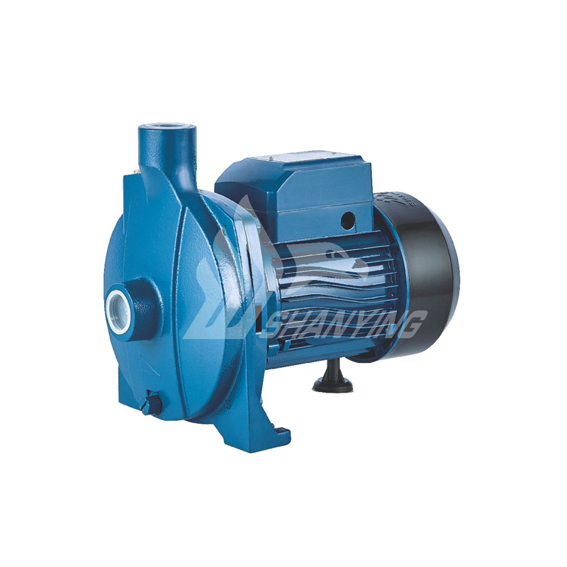 CPM-2 Centrifugal Pumps CPM-2 Centrifugal Pumps