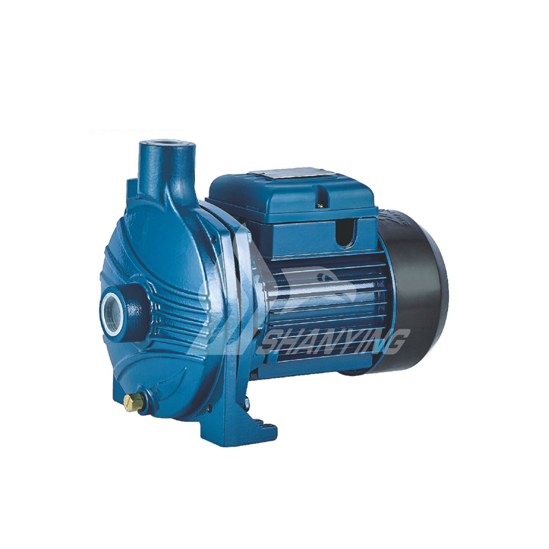 CP150N Centrifugal Pumps CP150N Centrifugal Pumps